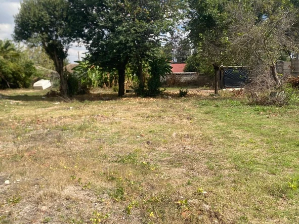 Commercial & Industrial Land