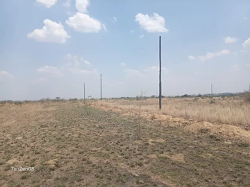 Stands & Residential Land