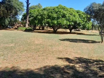 Farm & Agricultural Land