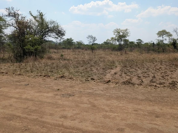 Farm & Agricultural Land