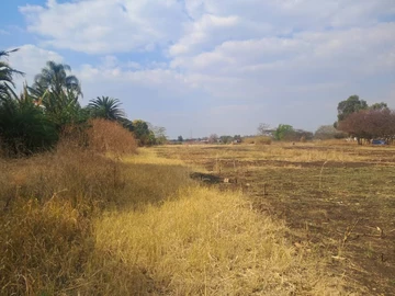 Stands & Residential Land
