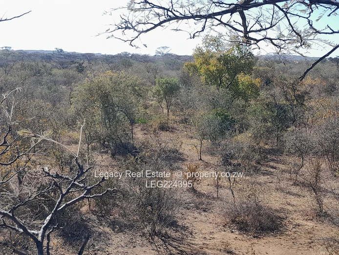  Prime 8.5-Acre Virgin Plot for Sale – Redcliff, Kwekwe (Near Harare–Bulawayo Highway)