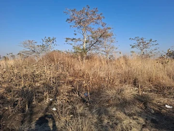Commercial & Industrial Land