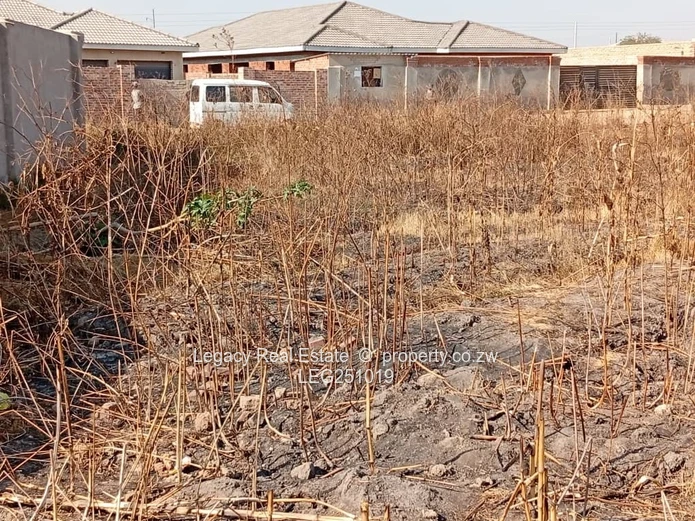 1250m² Southlea Park — Main Road Frontage, Subdividable