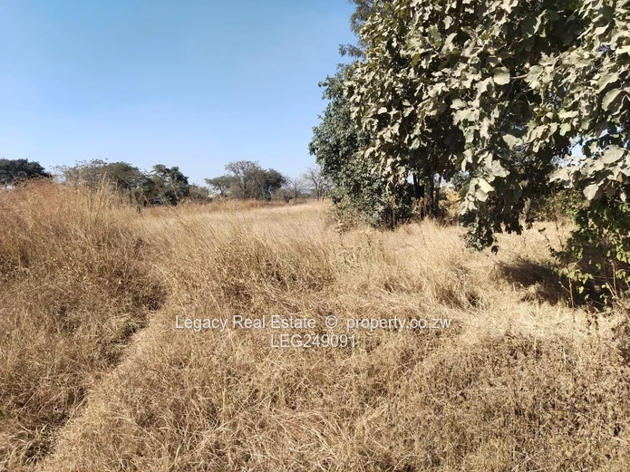 4000m² Galloway Stand — Subdivision Potential & Water