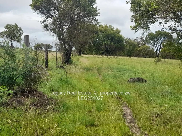 30ha Bromley Farm - Arable Soil, Grazing & Controlled Access (Sole Mandate)